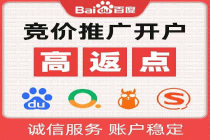 百度竞价包年服务：某行业领导品牌的成功故事